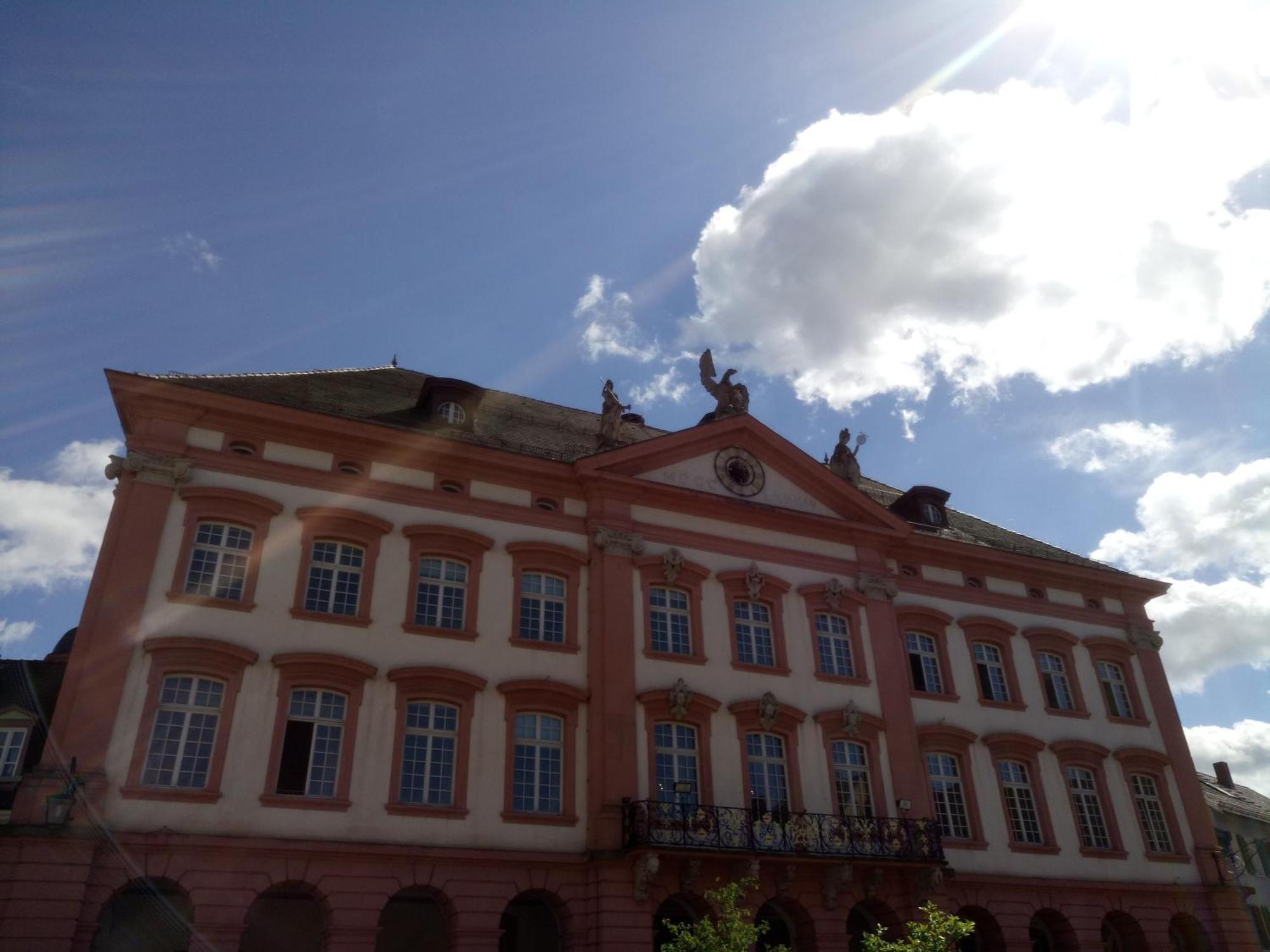 Ferienwohnung Sester Gengenbach Bagian luar foto