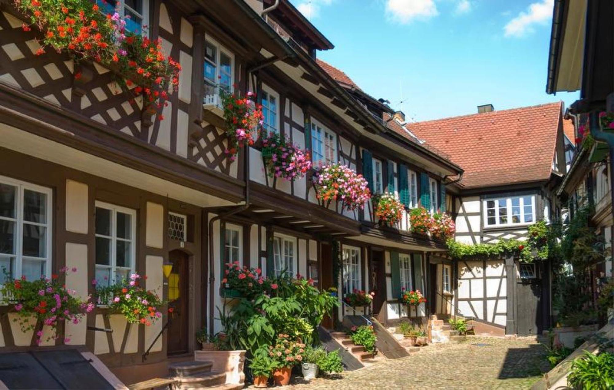 Ferienwohnung Sester Gengenbach Bagian luar foto