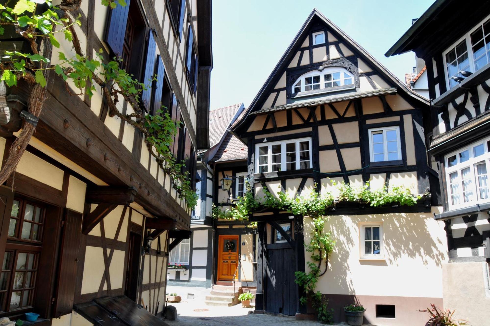 Ferienwohnung Sester Gengenbach Bagian luar foto