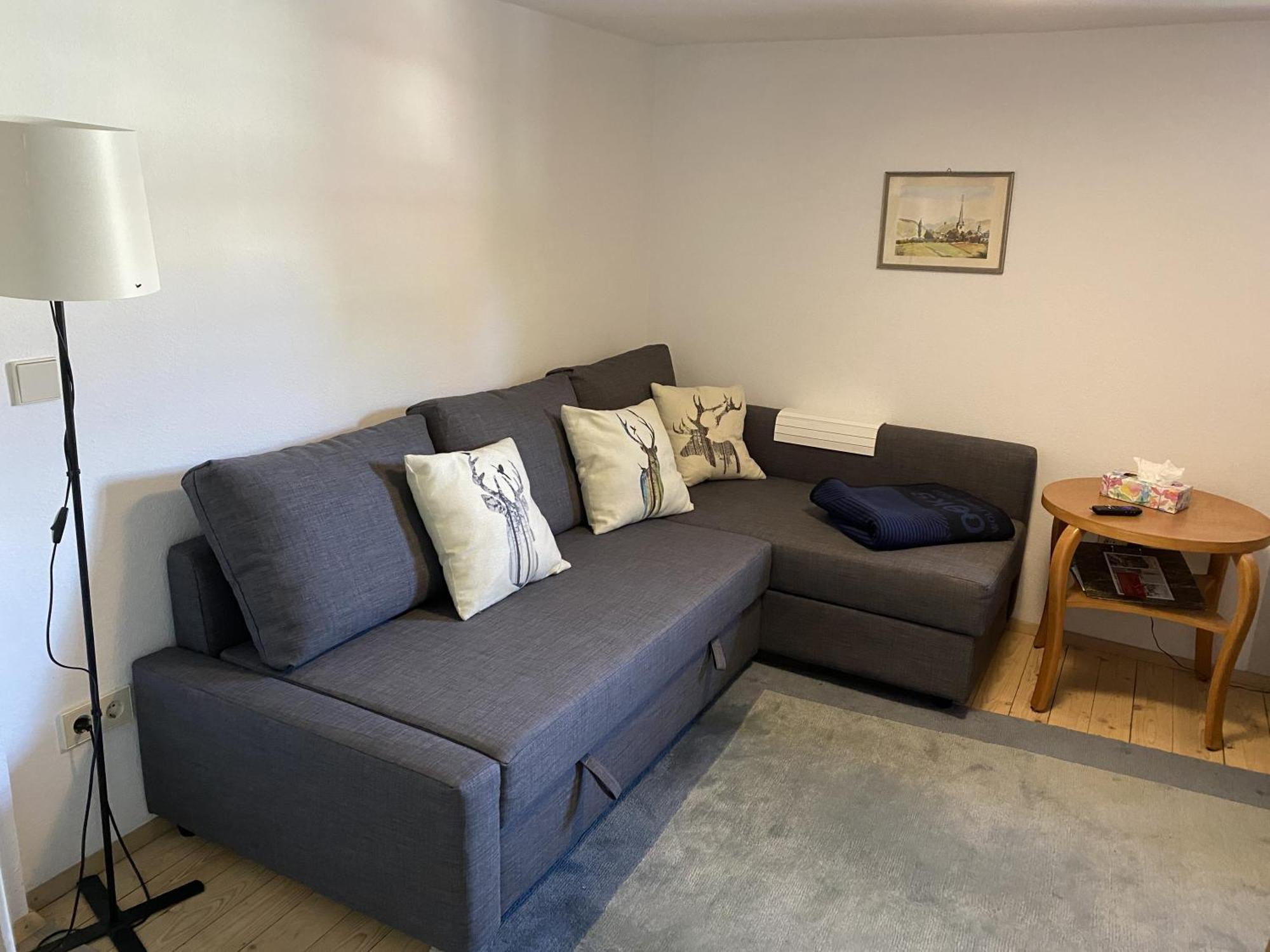 Ferienwohnung Sester Gengenbach Bagian luar foto