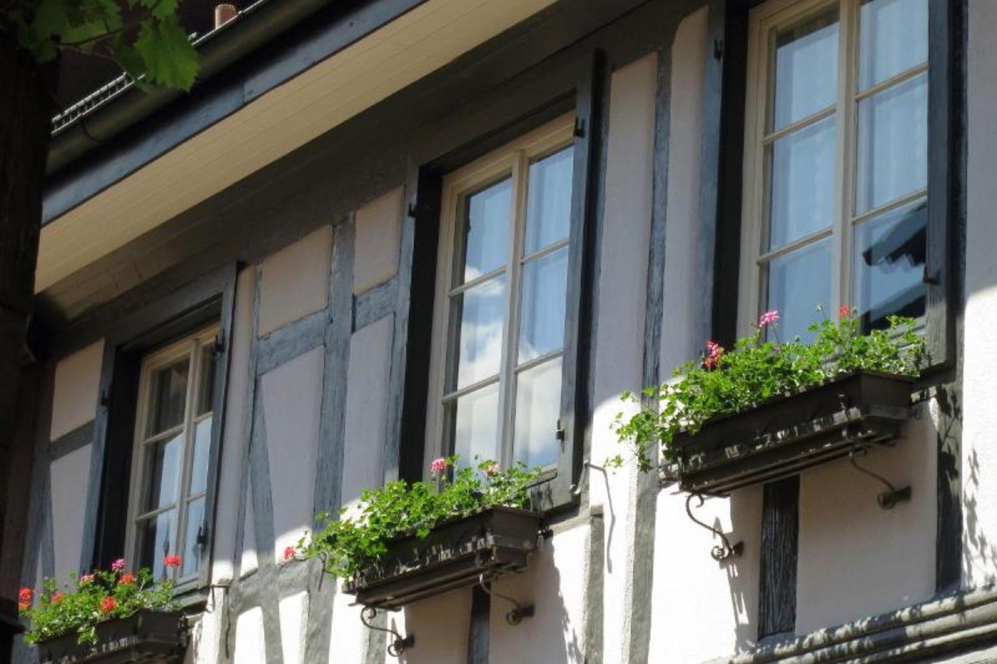 Ferienwohnung Sester Gengenbach Bagian luar foto