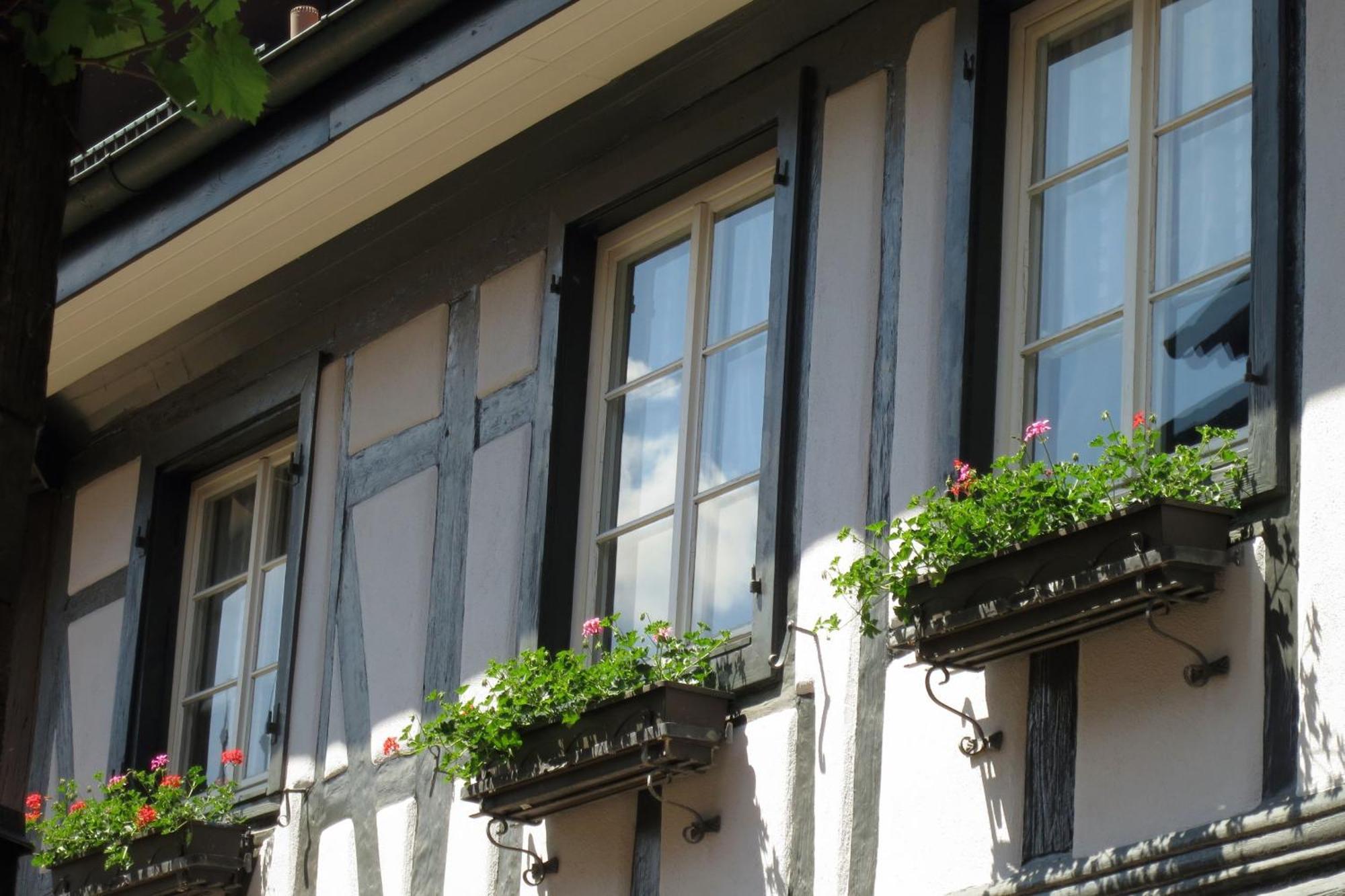 Ferienwohnung Sester Gengenbach Bagian luar foto