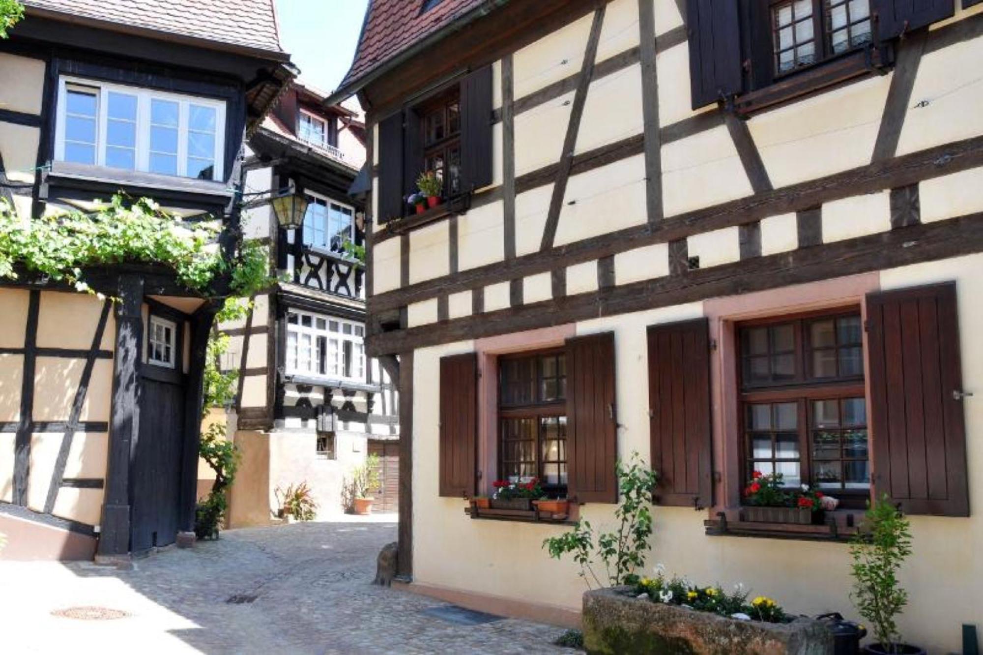 Ferienwohnung Sester Gengenbach Bagian luar foto