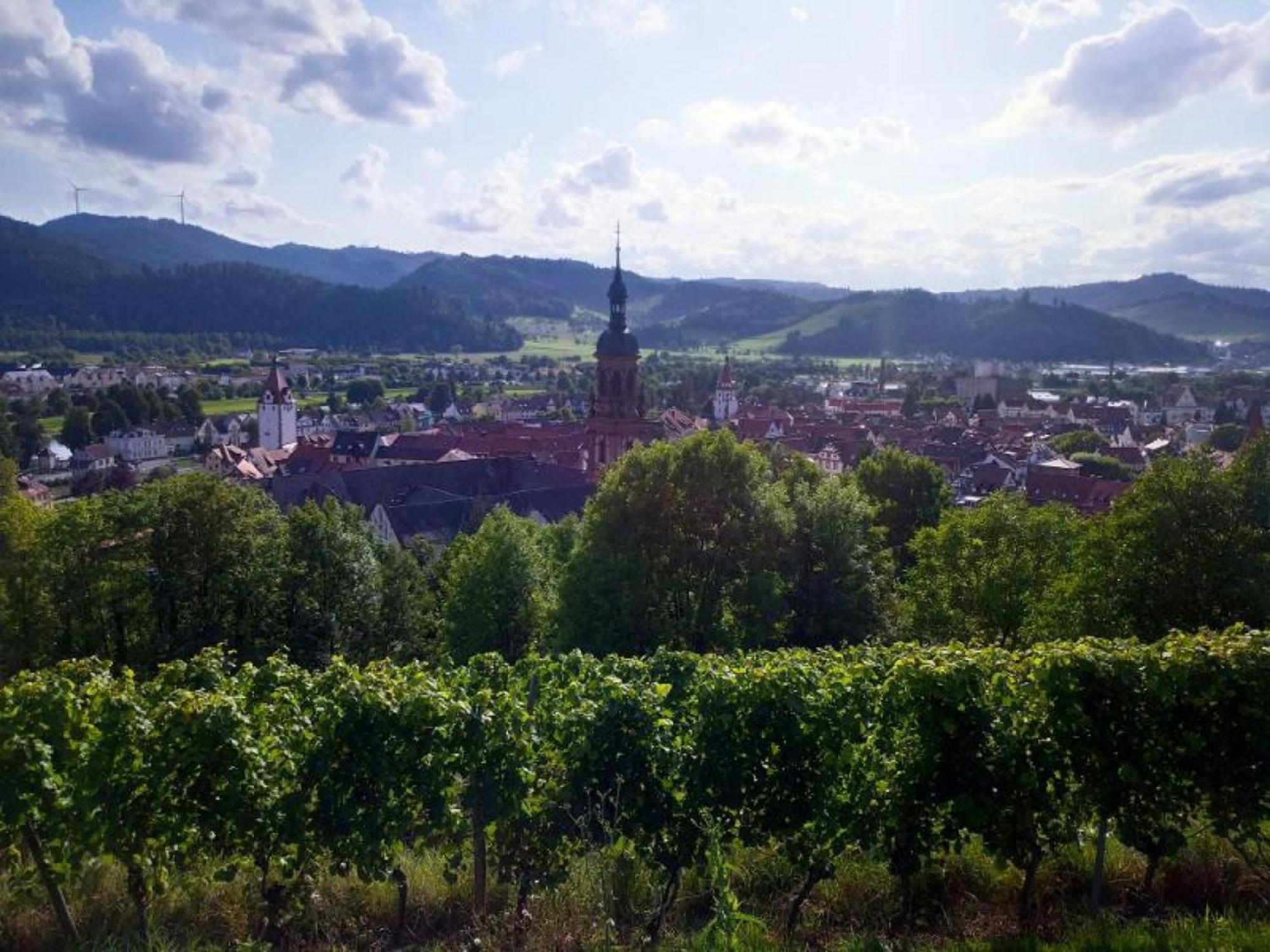 Ferienwohnung Sester Gengenbach Bagian luar foto
